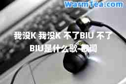 我没K 我没K 不了BIU 不了BIU是什么歌-歌词