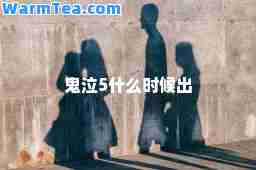 鬼泣5什么时候出