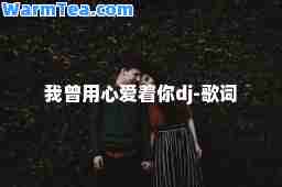 我曾用心爱着你dj-歌词