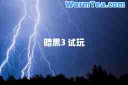 暗黑3 试玩