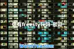 你有freestyle吗-歌词
