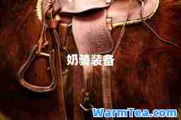 奶骑装备