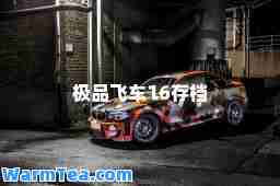 飞车16存档