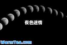 夜色迷情