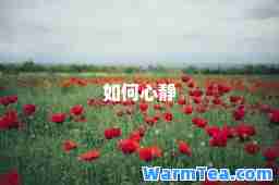 如何心静