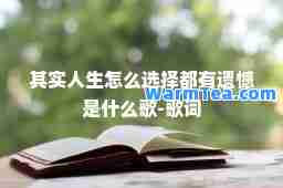 其实人生怎么选择都有遗憾是什么歌-歌词
