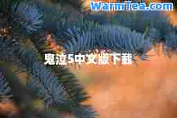 鬼泣5中文版下载