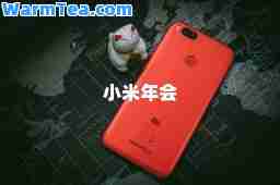 小米年会