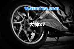 大x7