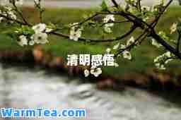 清明感悟