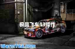 飞车13操作