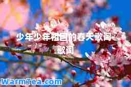 少年少年祖国的春天歌词-歌词
