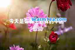 今天是你的生日我的中国-歌词