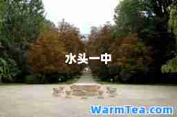 水头一中