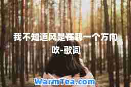 我不知道风是在哪一个方向吹-歌词