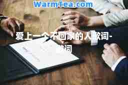 爱上一个不回家的人歌词-歌词
