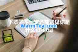 下辈子不一定还能遇见你是什么歌-歌词