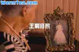 王菊旧照