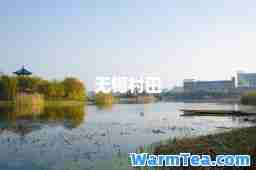 无锡村田