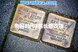帝国时代3酋长修改器