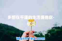 多想在平庸的生活拥抱你-歌词