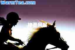 圣风暴