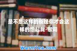 是不是这样的夜晚你才会这样的想起我-歌词