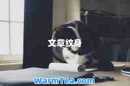 文章纹身