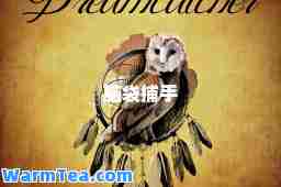 脑袋捕手