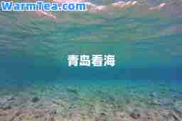 青岛看海
