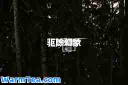 驱除幻象
