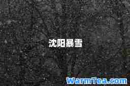 沈阳暴雪