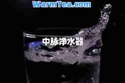 中脉净水器
