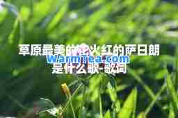 草原最美的花火红的萨日朗是什么歌-歌词