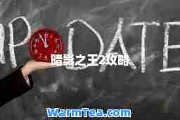 暗影之王2攻略
