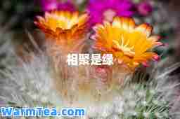 相聚是缘