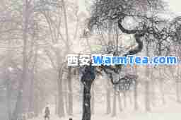 西安雪景