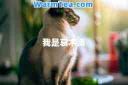 我是哀木涕
