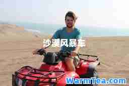 沙漠风暴车