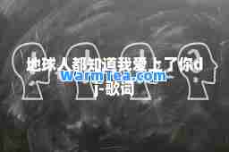地球人都知道我爱上了你dj-歌词