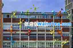 张店区实验