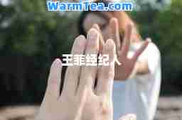 王菲经纪人