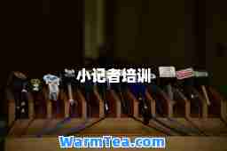 小记者培训
