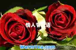 情人节花语