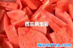 西瓜病虫害