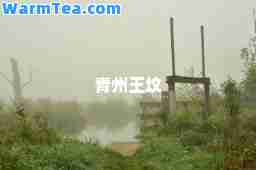 青州王坟