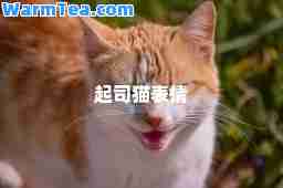 起司猫表情