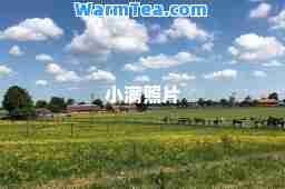 小满照片