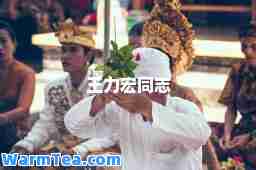 王力宏同志