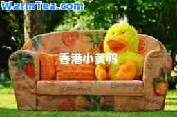 小黄鸭